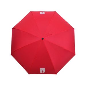 Umbrella 24inch Reverse ICAEW