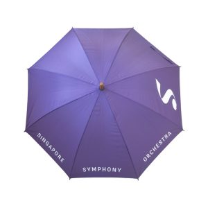 Umbrella 24inch J Wooden Handle Singapore S