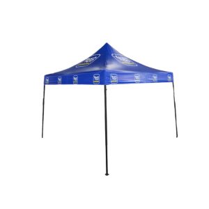 Foldable Tent With Printing 3m x 3m PVC Tarpaulin TNG