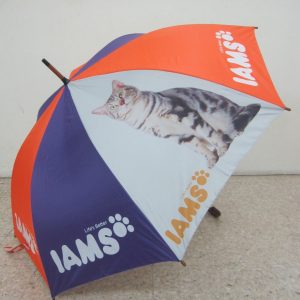 Corporate Umbrella